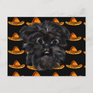 Affenpinscher postcard