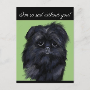 AFFENPINSCHER             POSTCARD