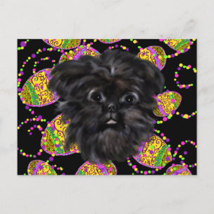 Affenpinscher postcard