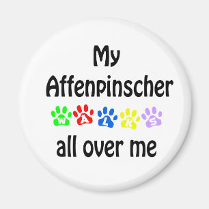 Affenpinscher Walks Design Magnet