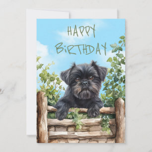 Affenpinscher Watercolor Dog Peeking Over Fence Holiday Card