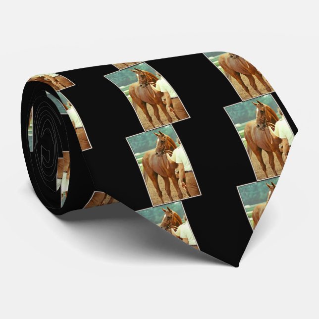 Affirmed Thoroughbred Racehorse 1978 Tie (Rolled)