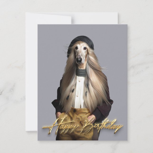Afghan dog blond hair in trousers Happy birthday (Front)