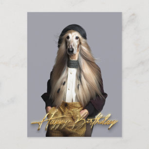 Afghan dog blond hair in trousers Happy birthday Postcard