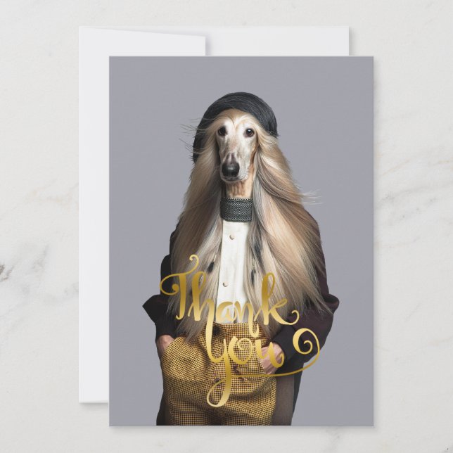 Afghan dog blond hair in trousers Thank You Card (Front)