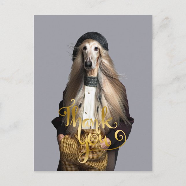 Afghan dog blond hair in trousers Thank You Postcard (Front)