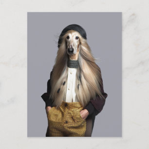 Afghan dog blonde hair in trousers postcard