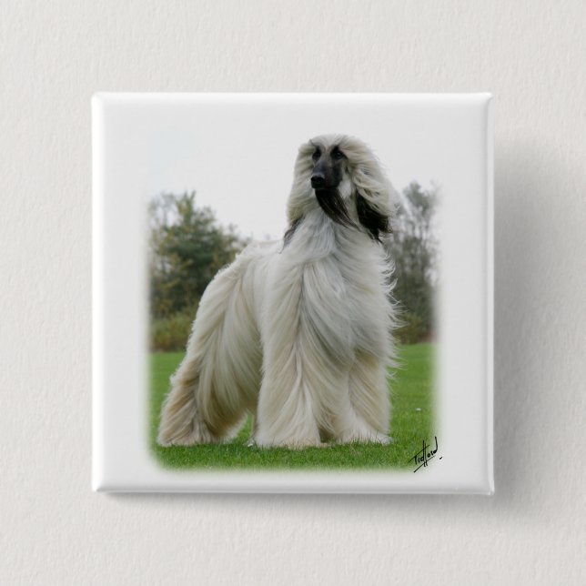 Afghan Hound 9Y247D-025 15 Cm Square Badge (Front)