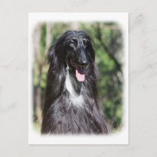 Afghan Hound AA017D-119 Postcard