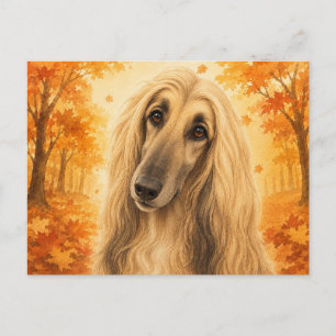 Afghan Hound Autumn Forest Dog Postcard