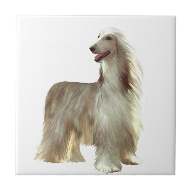 Afghan Hound (B) - fawn standing Tile (Front)