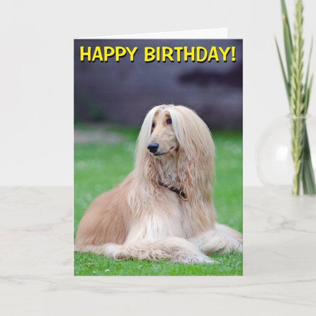 Afghan Hound customisable greetings card (Front)