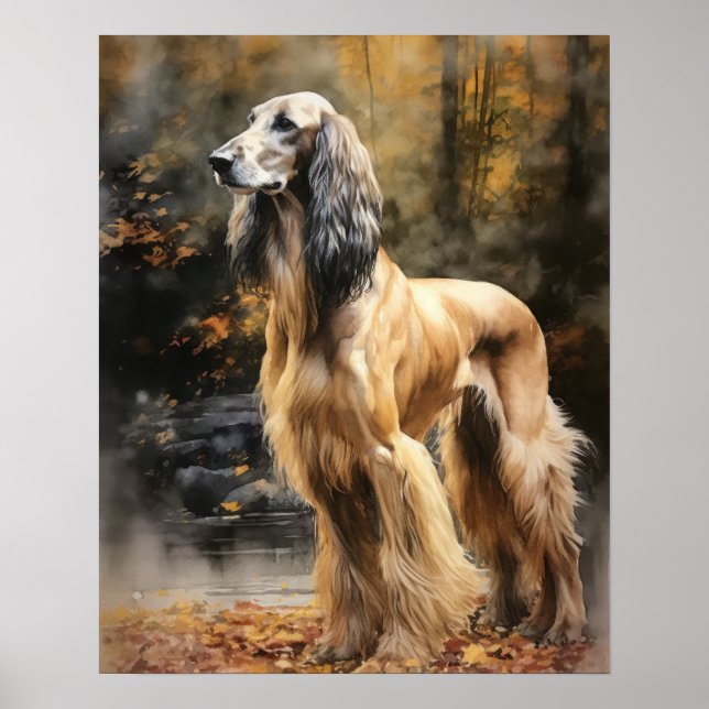 Afghan Hound Dog Art Print Poster (Front)