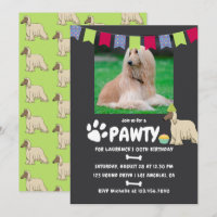 Afghan Hound Dog Birthday photo invitation