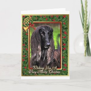 Afghan Hound Dog Blank Christmas Card