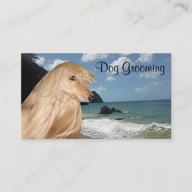 Afghan Hound dog grooming Business Card (Front)