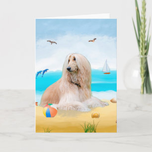 Afghan Hound Dog on Beach  Card