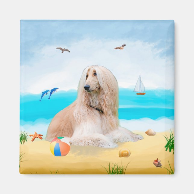 Afghan Hound Dog on Beach Magnet (Front)