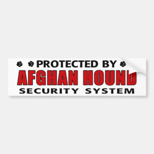 Afghan Hound Dog Security Bumper Sticker