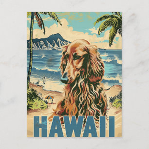 Afghan Hound Hawaii Vacation Travel Postcard