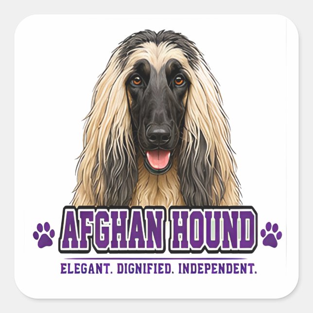 🐾 Afghan Hound Lover 🐾 Square Sticker (Front)