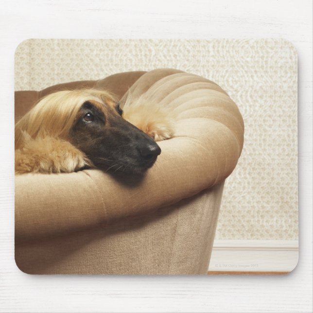 Afghan hound lying on sofa mouse mat (Front)