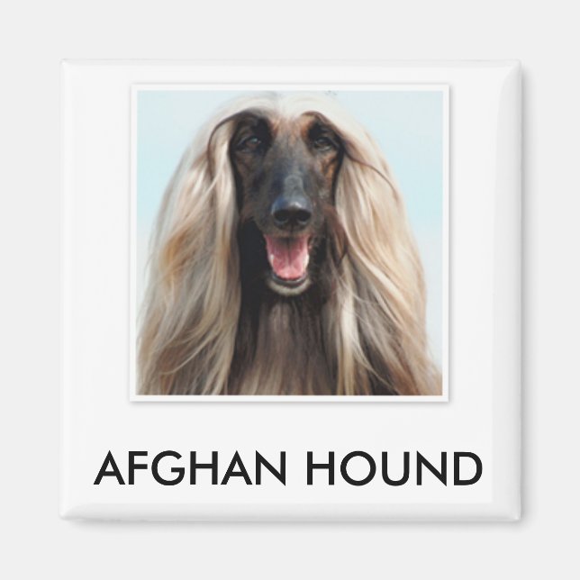 Afghan Hound Magnet (Front)