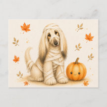 Afghan Hound Mummy Halloween