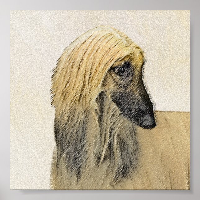 Afghan Hound Painting - Cute Original Dog Art Poster (Front)