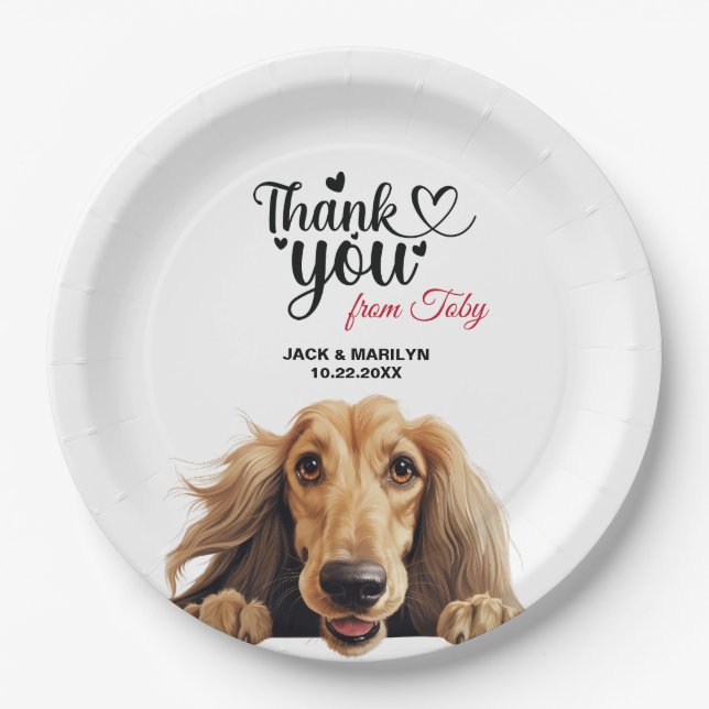 Afghan Hound Paper Plate (Front)