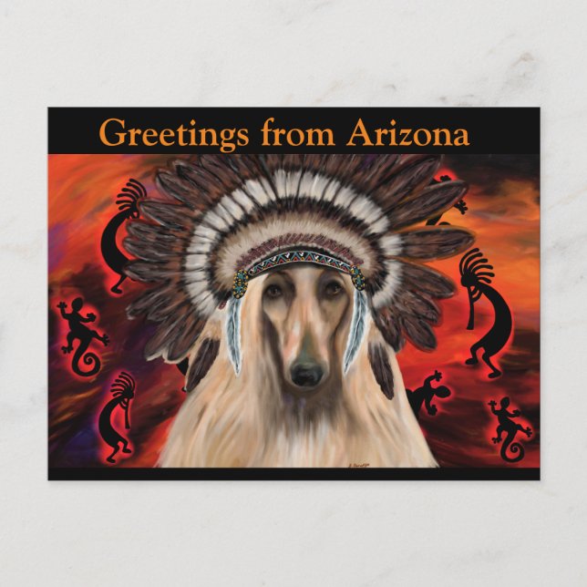 Afghan Hound Postcard (Front)