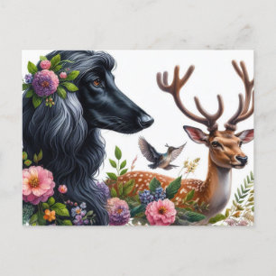 Afghan Hound Postcard