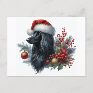 Afghan Hound Postcard