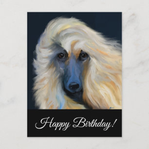 Afghan Hound          Postcard