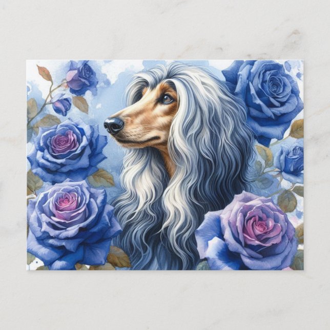 Afghan Hound Postcard (Front)