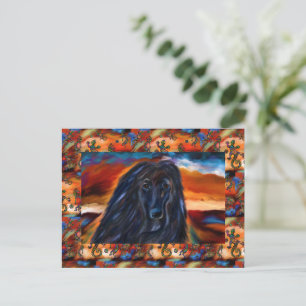 Afghan Hound  Postcard