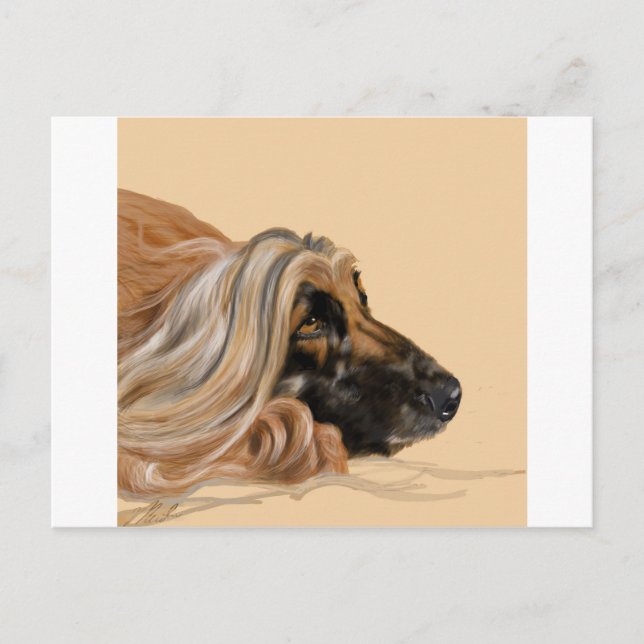 Afghan Hound Postcard (Front)