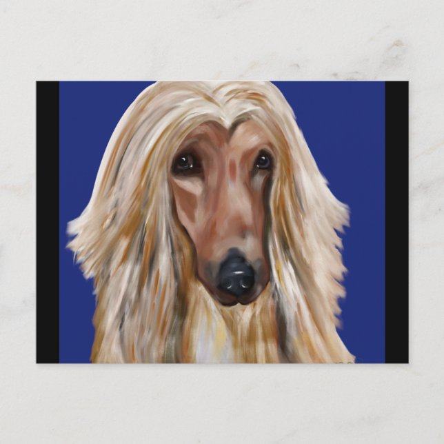 AFGHAN HOUND   POSTCARD (Front)