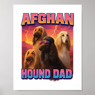 Afghan Hound Poster