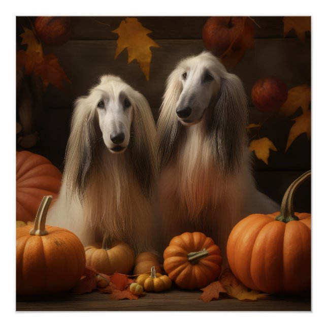 afghan hound Puppy Autumn Delight Pumpkin Poster (Front)