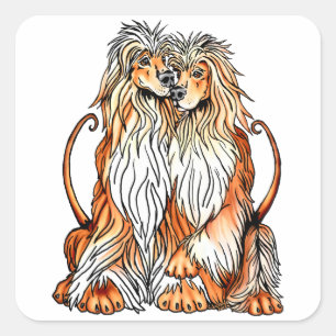 Afghan Hound Puppy Love Square Sticker