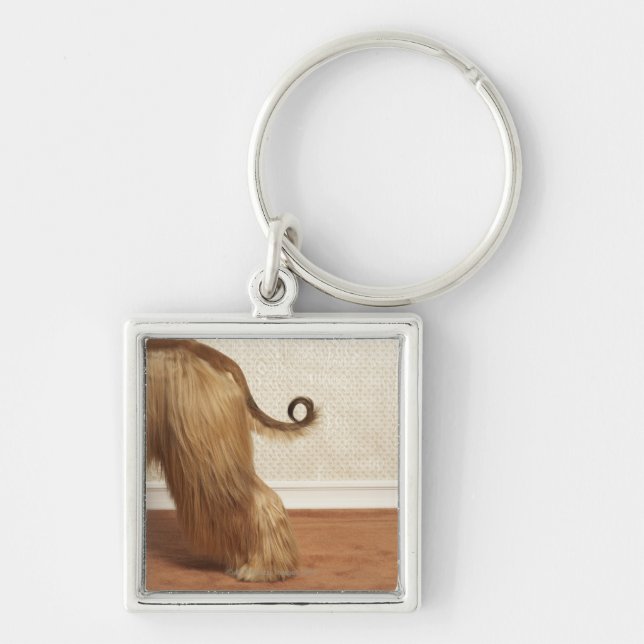 Afghan hound standing in room, end section key ring (Front)