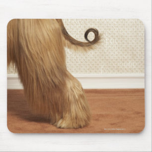 Afghan hound standing in room, end section mouse mat