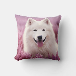 afghan hound, tazi, tazy, greyhound, sighthounds, cushion