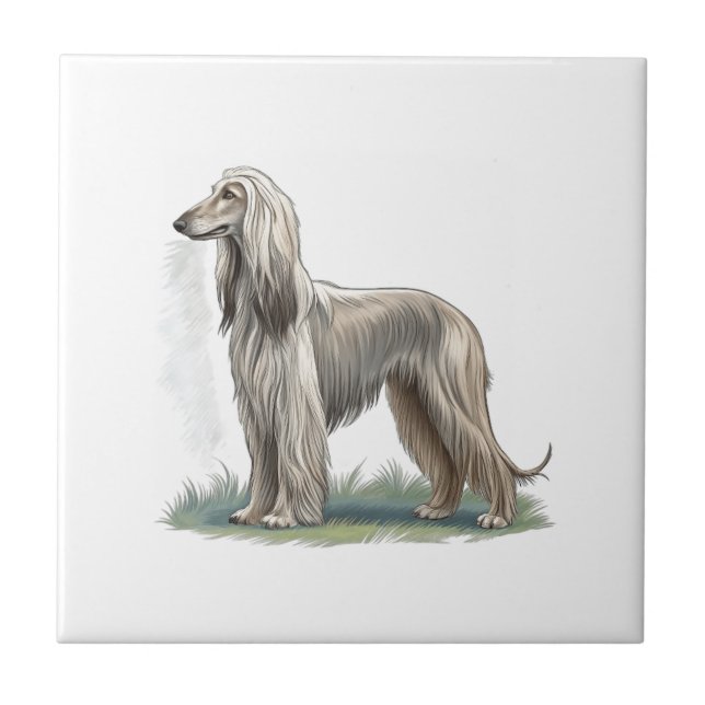 Afghan Hound Tile (Front)