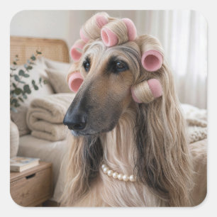 Afghan Hound Wearing Pink Sponge Curlers Square Sticker