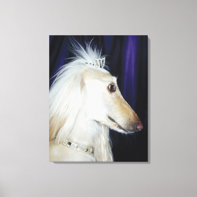 Afghan Hound wearing Tiara Canvas Print (Front)