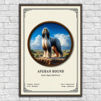 Afghan Hound Zoology Series