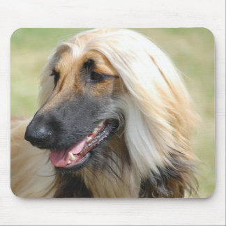 Afghan HoundPuppy Dog Mouse Mat