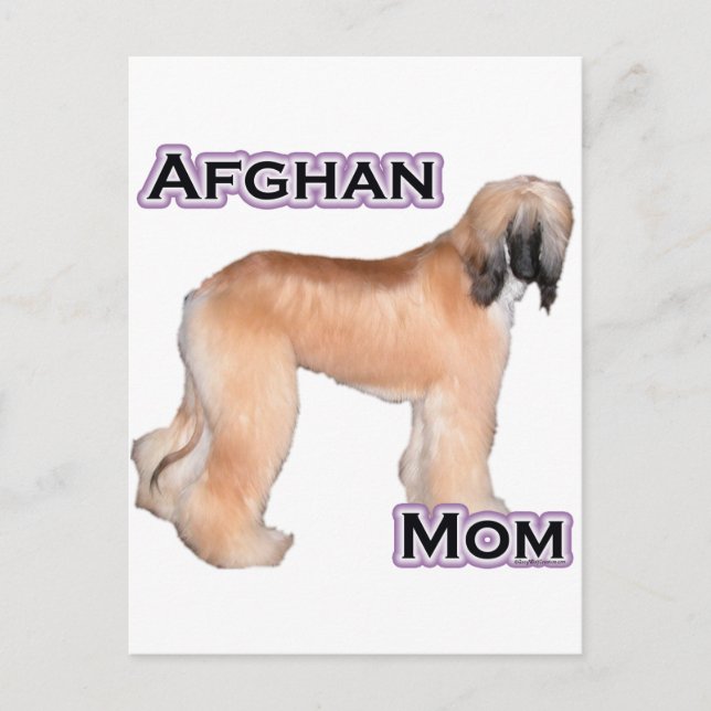 Afghan Mum 4 Postcard (Front)